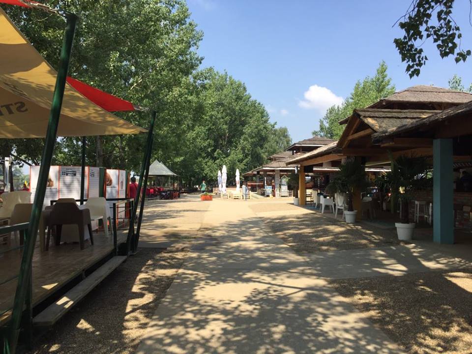 plaza 6